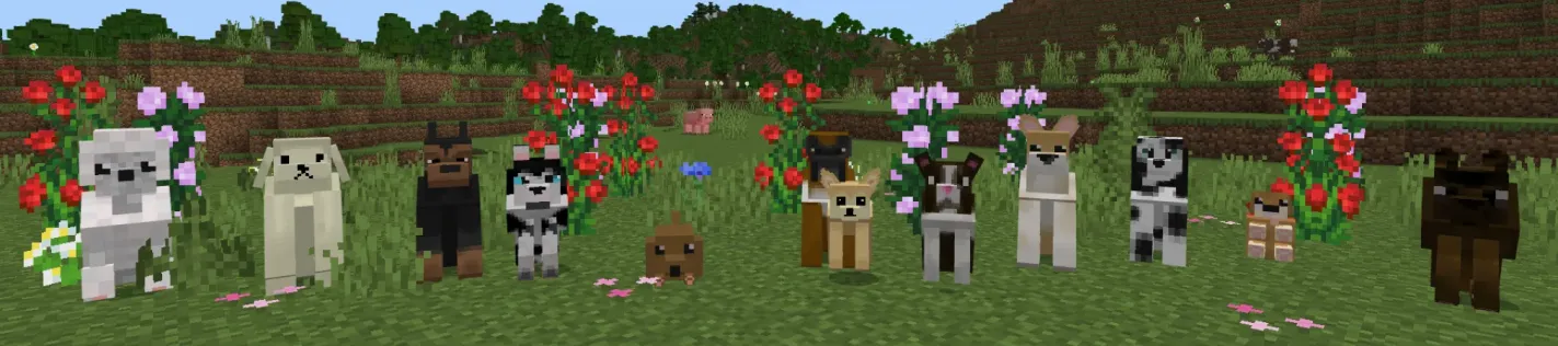 Pets: Dogs