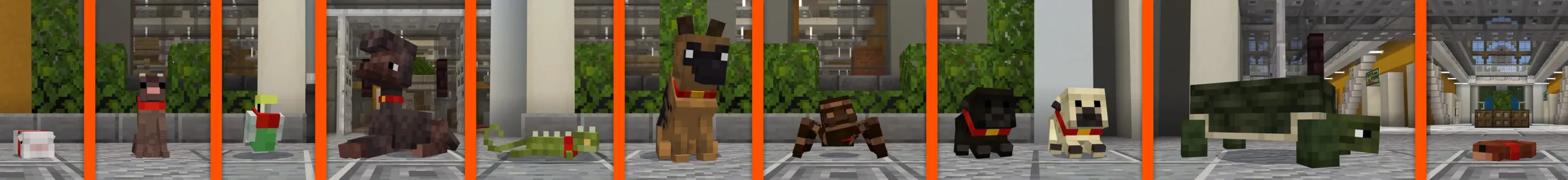 PETS: Shop