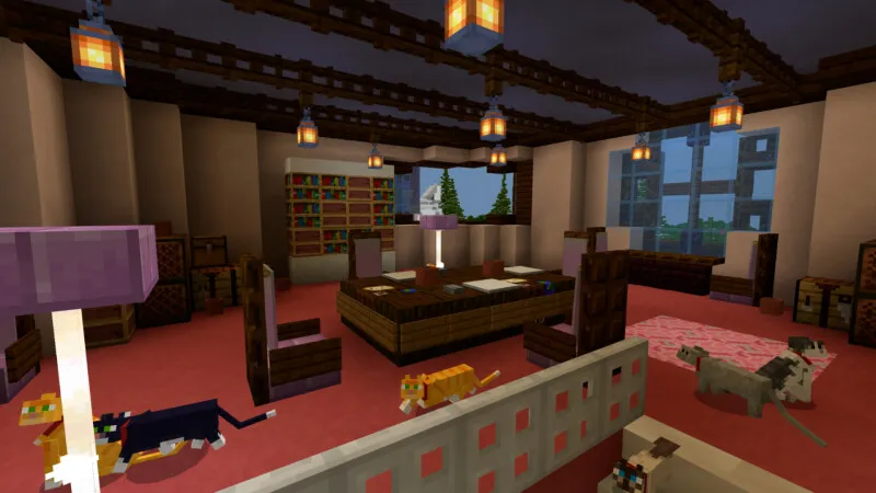Kitty Cafe