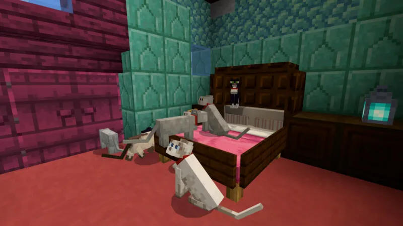 Kitty Cafe