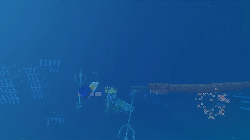 Survival on Container