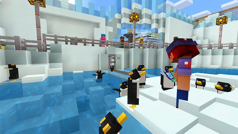 Zookeeper Simulator