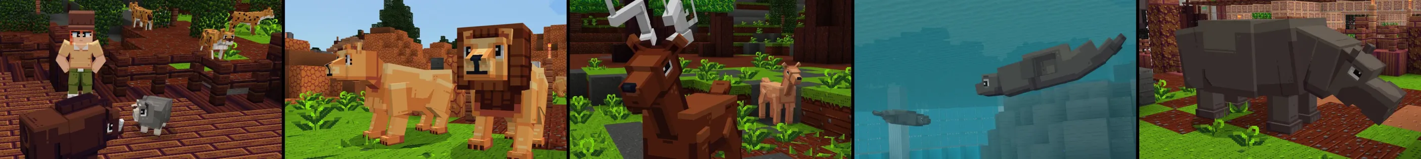 ZOO