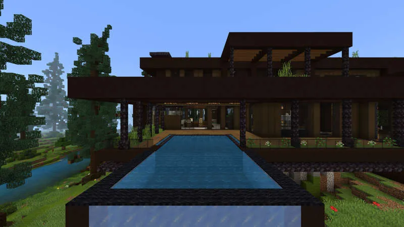 Millionaire's Forest Mansion
