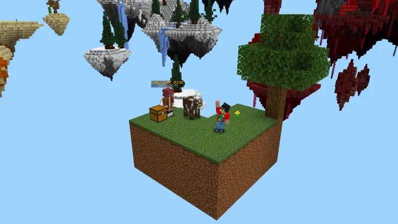 SkyBlock