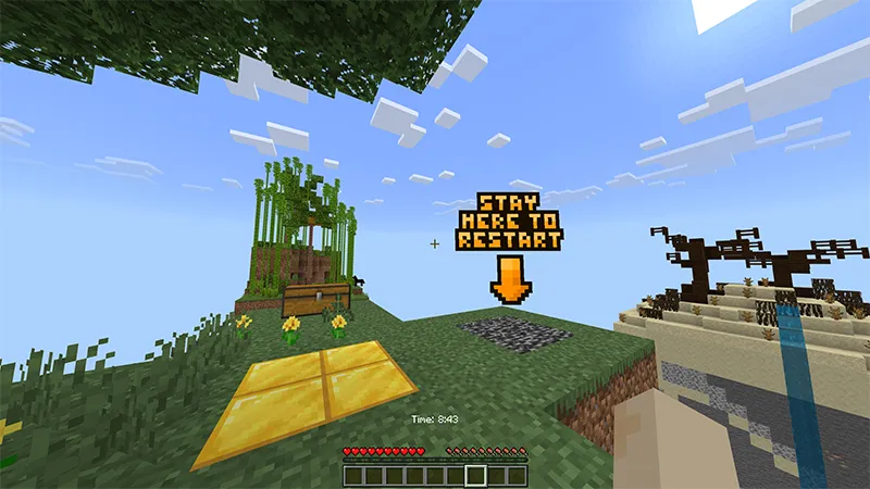 Random Chunks Skyblock