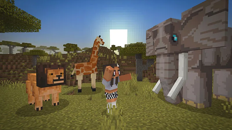 More Animals