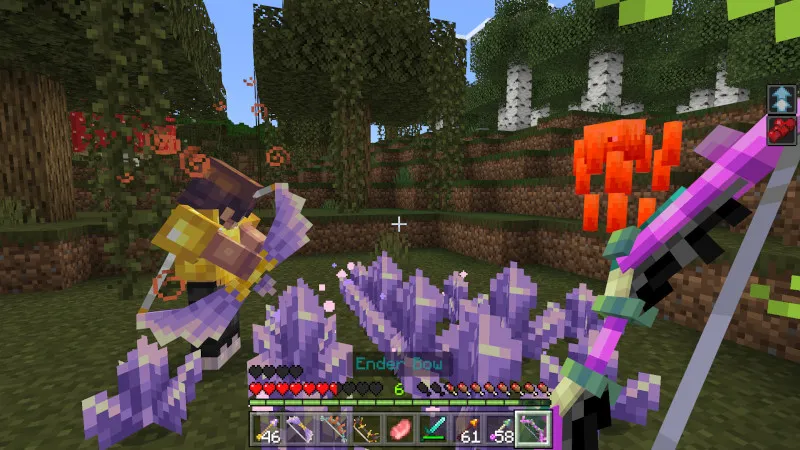 BOWS EXPANSION