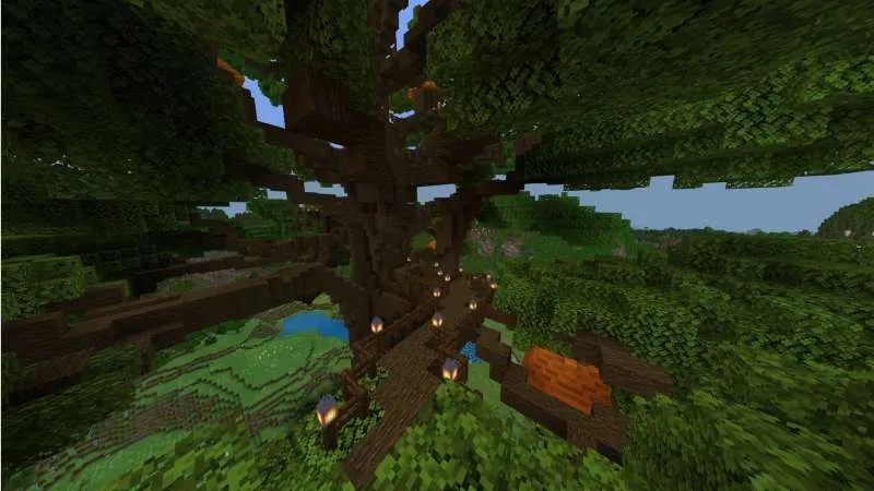 The House in the Giant Tree